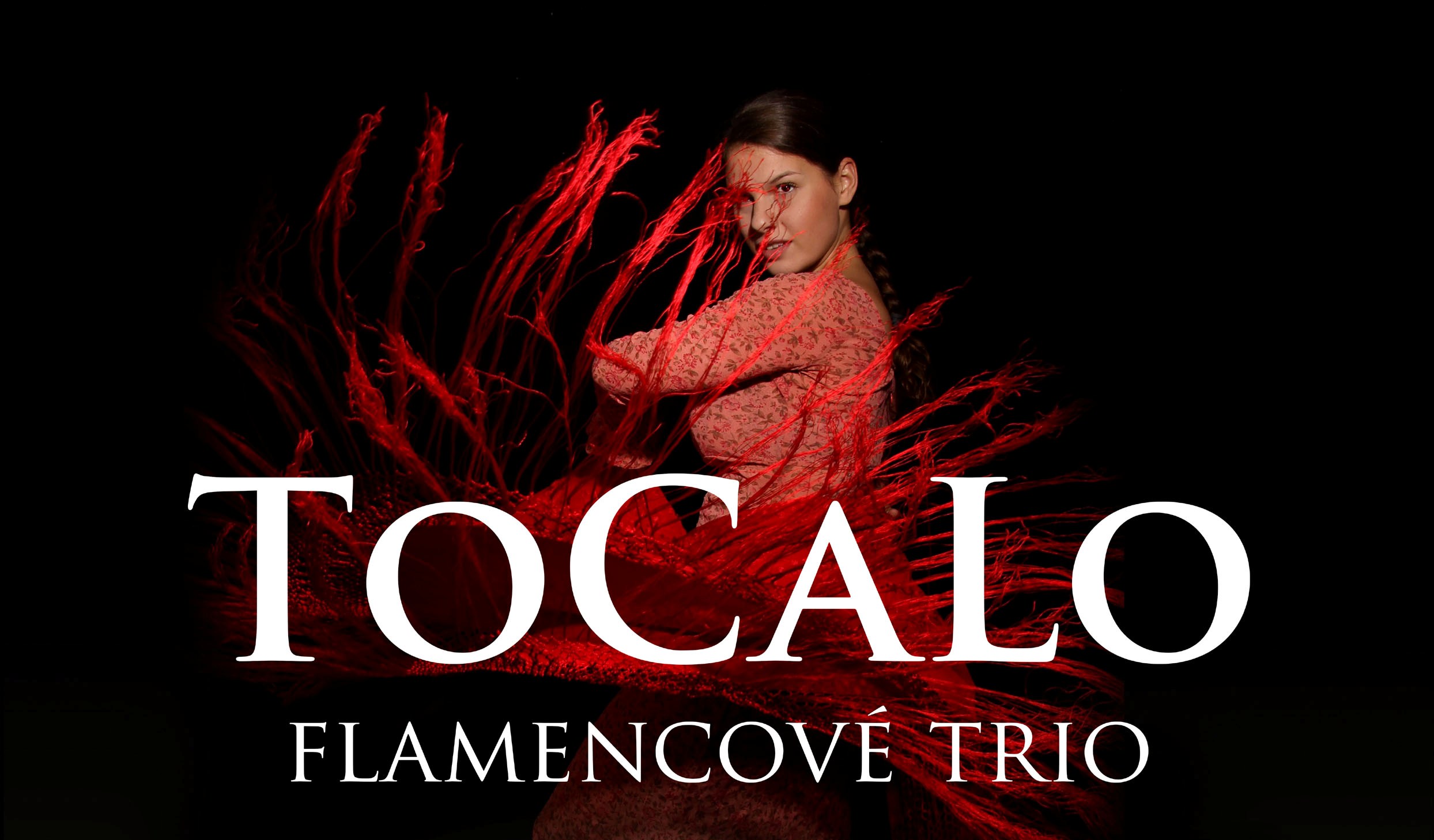 Flamencové trio ToCaLo