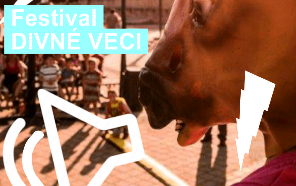 Festival Divné veci