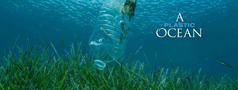 A plastic ocean - premietanie filmu