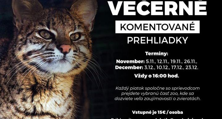 Abendführungen durch den ZOO Abendführungen durch den ZOO