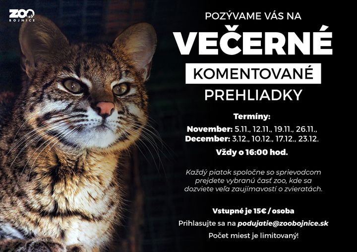 Večerné prehliadky ZOO