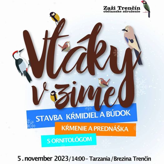Vtáky v zime