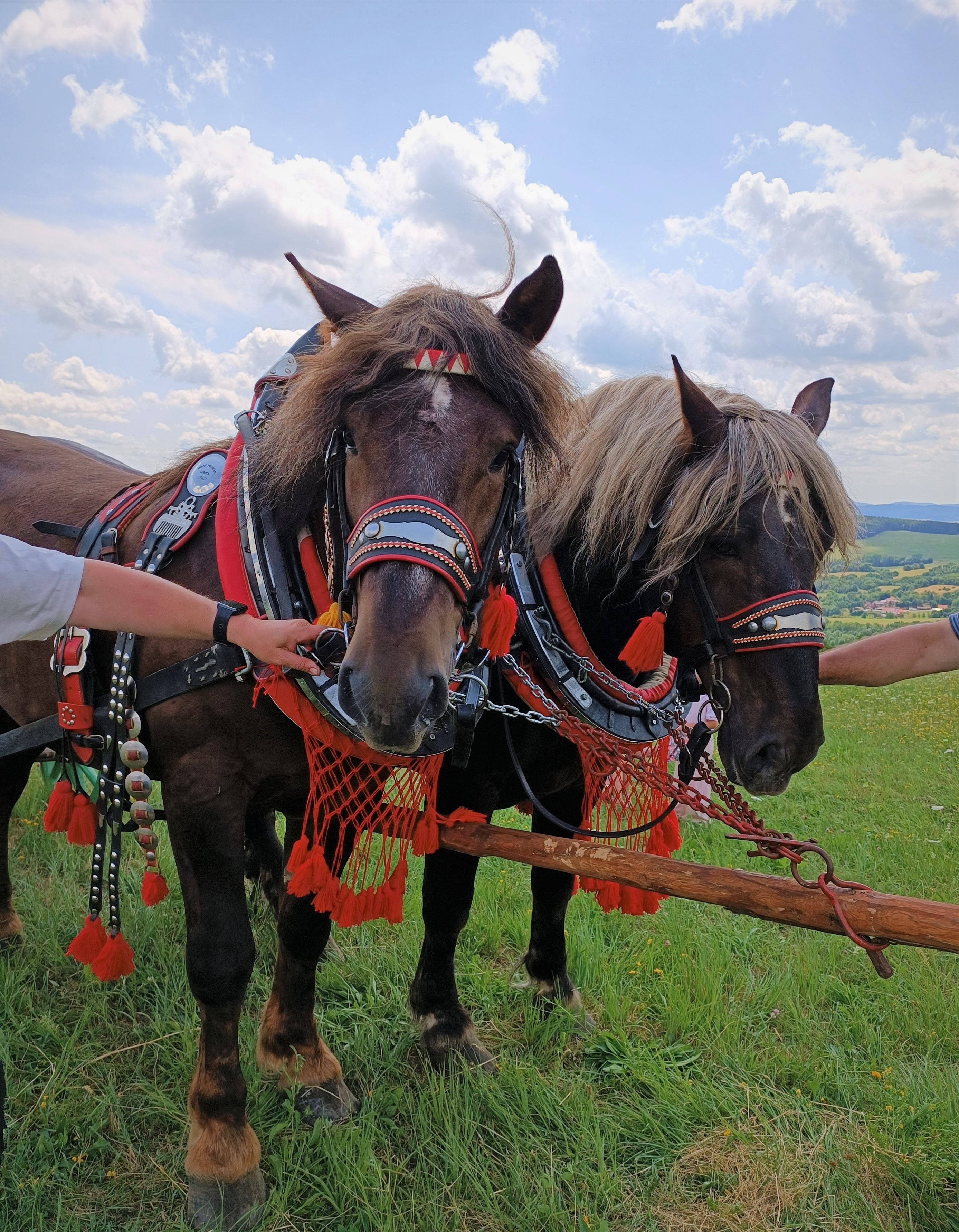 Furmanské preteky Morovnianska podkova