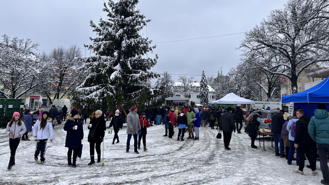 Benefičná Handlovská kapustnica