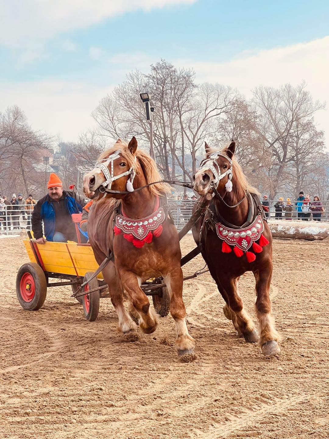 Furmanské preteky a fašiangy