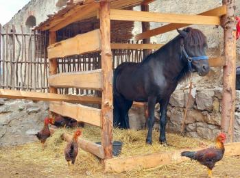 Minifarmička na hrade