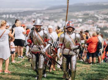 Rytieri Vir Fortis